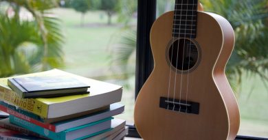  Apprenez à jouer d'un instrument de musique grâce à des livres pratiques !